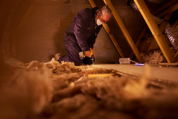 Best Insulation Removal  in Waterloo, IL